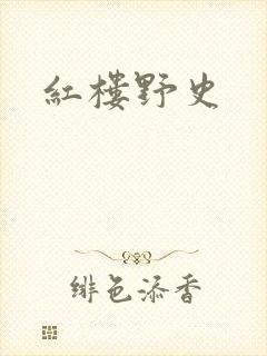 红楼野史