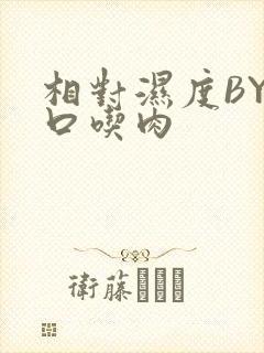 相对湿度BY大口吃肉