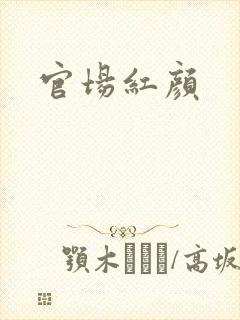 官场红颜