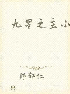九星之主小说