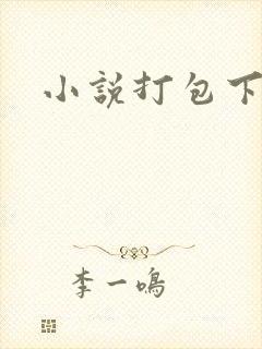 小说打包下载