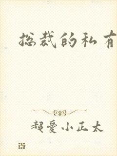 总裁的私有宝贝