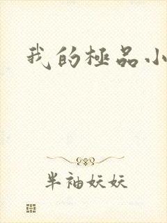 我的极品小姨