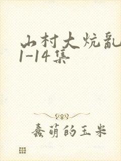 山村大炕乱肉续1-14集