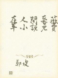 在人间采薇陆三平小说免费阅读