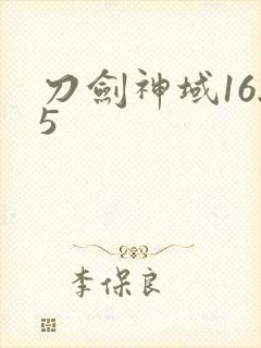 刀剑神域16.5