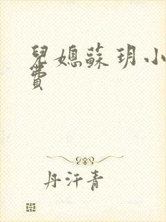 儿媳苏玥小说免费