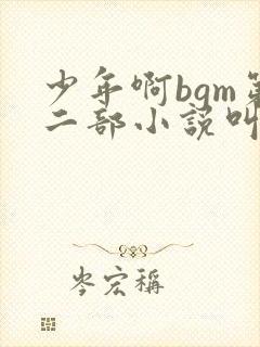 少年啊bgm第二部小说叫什么