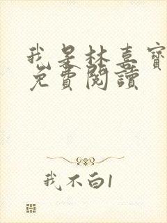 我是林喜宝小说免费阅读