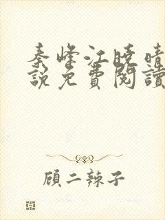 秦峰江晓晴的小说免费阅读