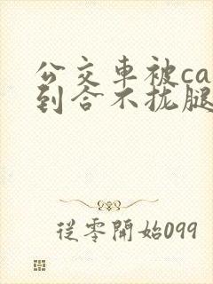 公交车被cao到合不拢腿视频