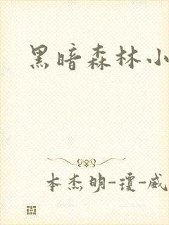 黑暗森林小说