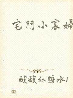 宅门小寡妇