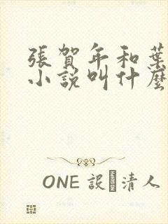 张贺年和叶繁姿小说叫什么名字