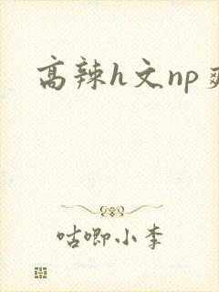 高辣h文np爽