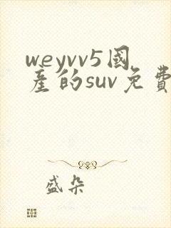 weyvv5国产的suv免费