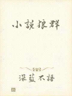 小说狼群