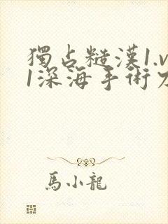 独占糙汉1.v1深海手术刀