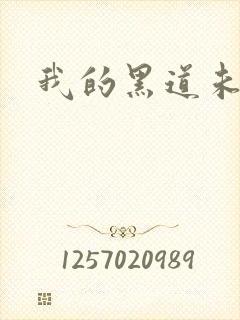 我的黑道未婚夫