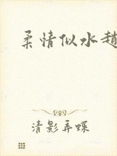 柔情似水赵雅儿