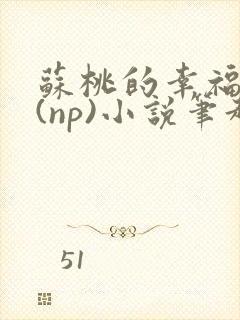 苏桃的幸福生活(np)小说笔趣阁沐沐