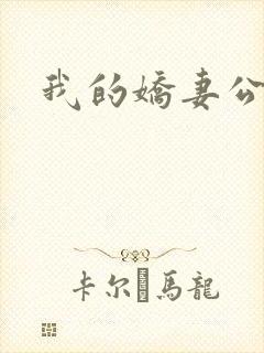 我的娇妻公务员