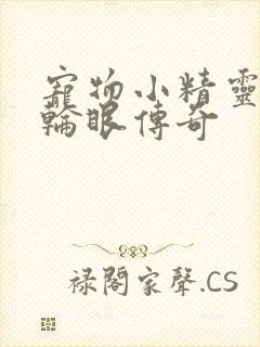 宠物小精灵之写轮眼传奇