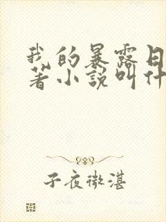 我的暴露日记原著小说叫什么