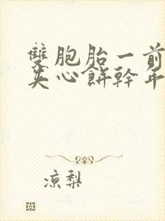 双胞胎一前一后夹心饼干年下