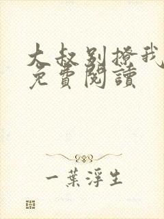 大叔别撩我小说免费阅读