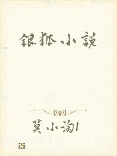 银狐小说