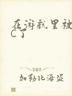 在游戏里被怪物C了