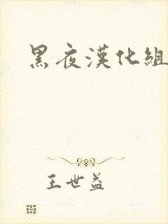 黑夜汉化组