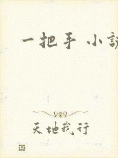 一把手 小说
