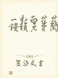 一对白花花的大馒头免费阅读