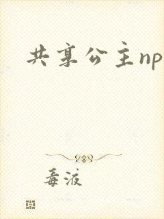 共享公主npc