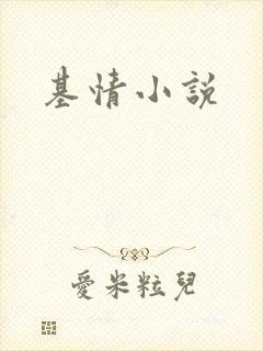 基情小说
