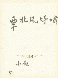 西北风呼啸的中午