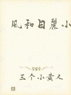 风和日丽小说