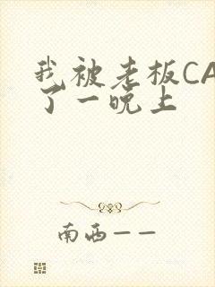 我被老板CAO了一晚上