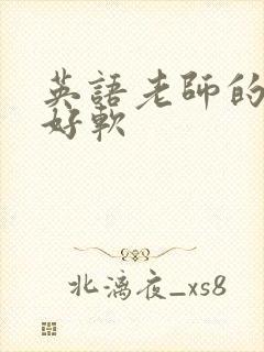 英语老师的兔子好软