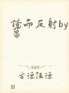 镜面反射by九葛