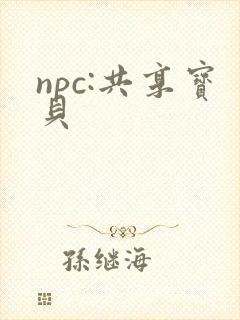 npc:共享宝贝