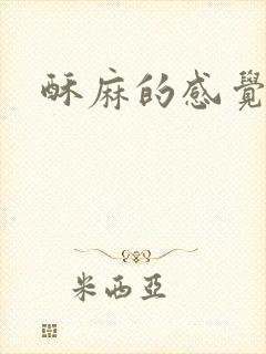 酥麻的感觉小说