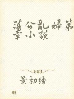 荡公乱妇第51章小说