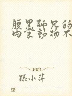 腹黑师兄的日常肉食动物不食草