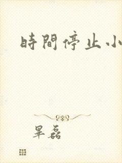 时间停止小说