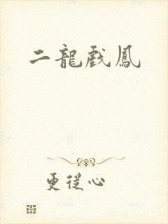 二龙戏凤