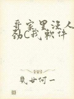 哥家里没人使点劲C我软件