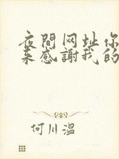 夜间网址你会回来感谢我的